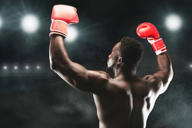 博鱼体育赵雷霆击倒对手赢得全国精英赛冠军