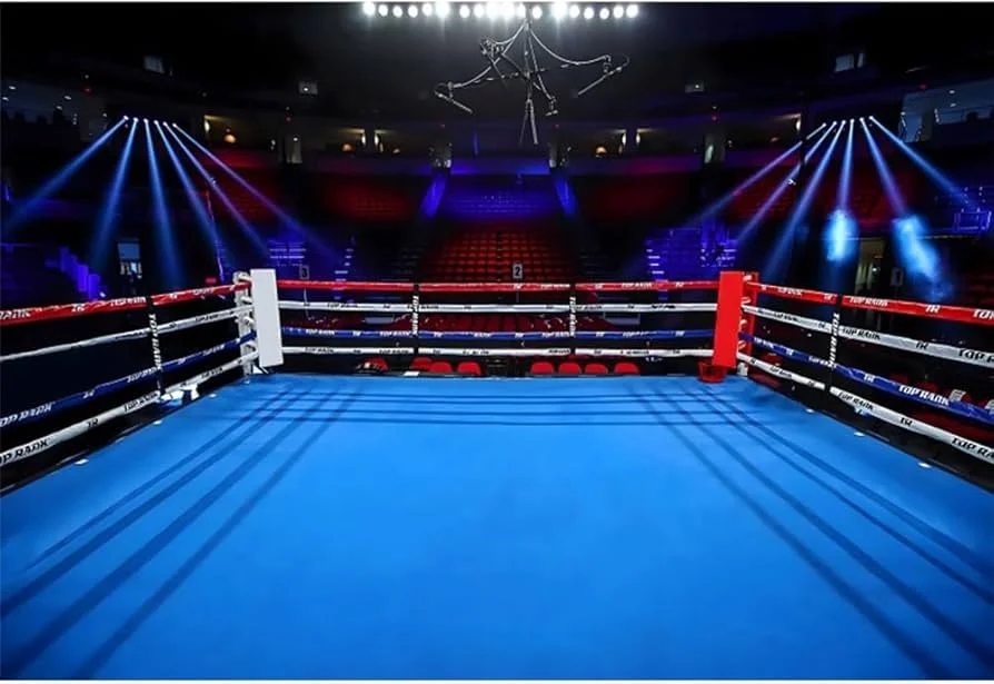 博鱼体育拳击竞技场灯光效果
